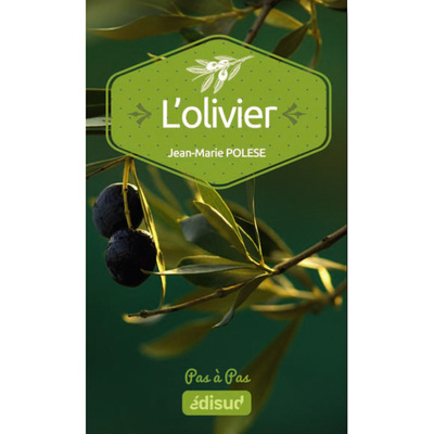 Image de Olivier, pas à pas