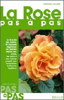 Image de La rose