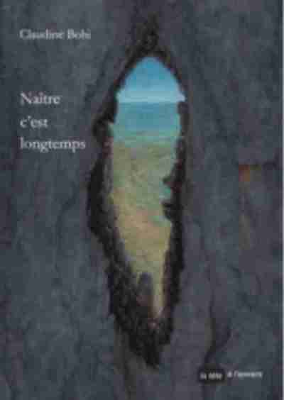 Picture of NAÎTRE C'EST LONGTEMPS