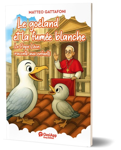 Picture of Le goéland et la fumée blanche