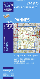 Image de 2419O PANNES