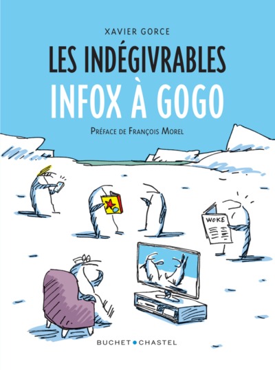 Image de Les Indégivrables Infox à gogo