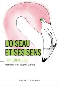 Picture of L OISEAU ET SES SENS