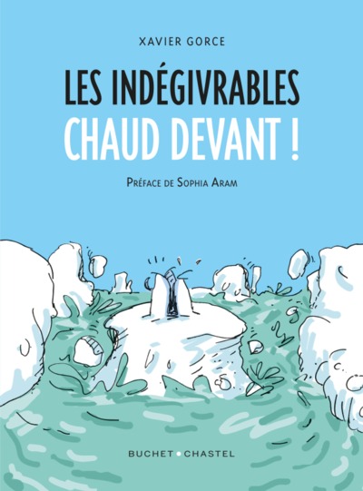 Image de Les indégivrables