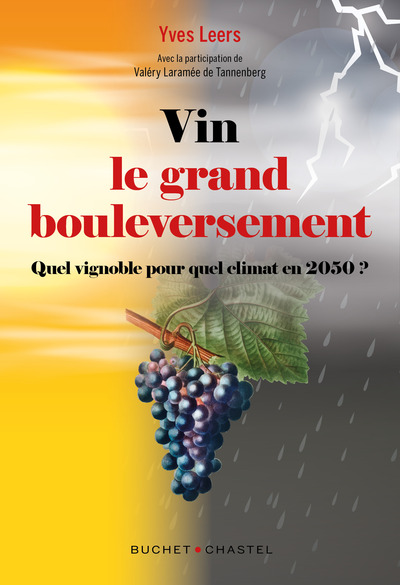 Picture of Vin : le grand bouleversement