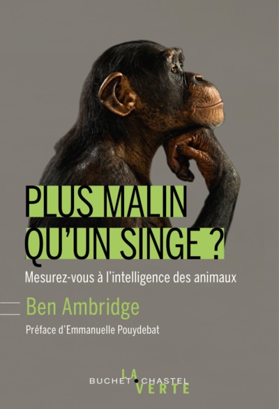 Image de Plus malin qu'un singe?
