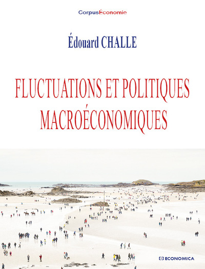 Picture of FLUCTUATIONS ET POLITIQUES MACROECONOMIQUES