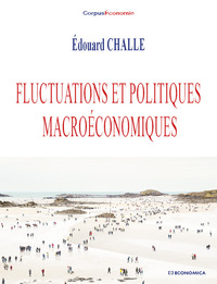 Picture of FLUCTUATIONS ET POLITIQUES MACROECONOMIQUES