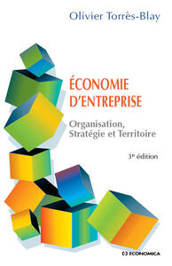 Image de ECONOMIE D'ENTREPRISE - ORGANISATION, STRATEGIE ET TERRITOIRE