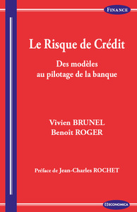Picture of RISQUE DE CREDIT - DES MODELES AU PILOTAGE DE LA BANQUE (LE)