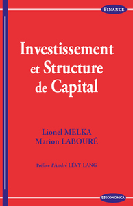 Image de INVESTISSEMENT ET STRUCTURE DE CAPITAL
