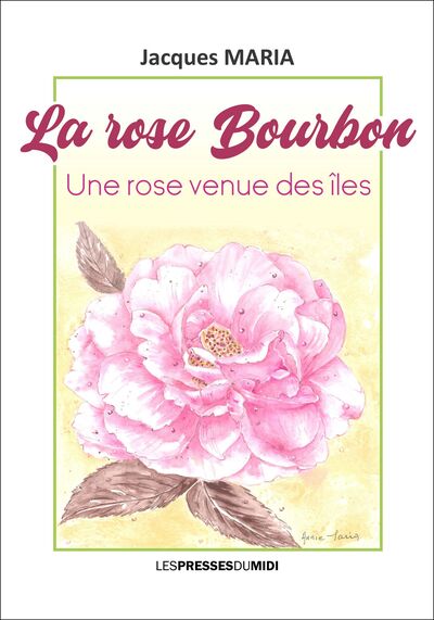 Image de LA ROSE BOURBON