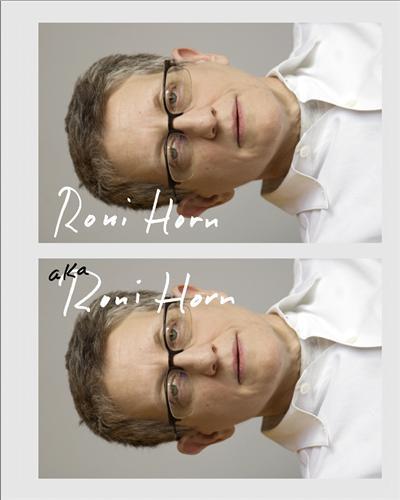 Image de Roni Horn Aka Roni Horn /anglais