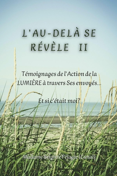 Picture of L'AU-DELÀ SE RÉVÈLE II  (couverture souple)