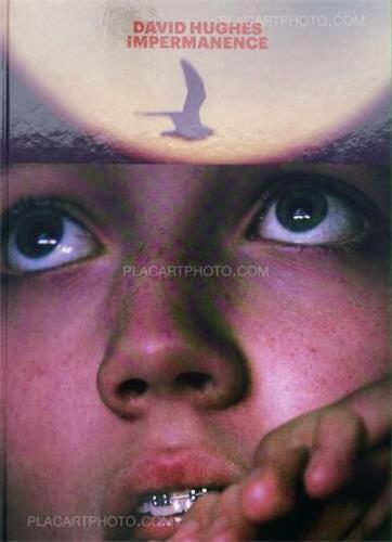 Picture of David Hughes Impermanence /anglais