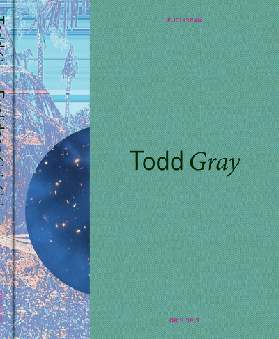 Picture of Todd Gray Euclidean Gris Gris /anglais