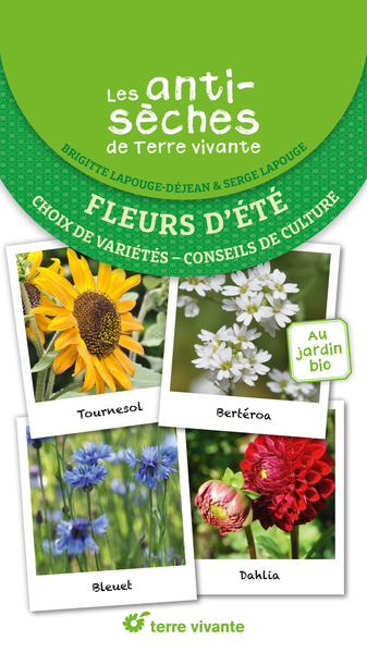 Picture of Les antisèches de Terre vivante : Fleurs d'été