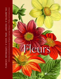 Picture of Fleurs