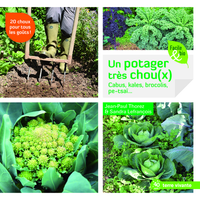 Picture of Un potager très chou(x)