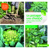 Picture of Un potager très chou(x)