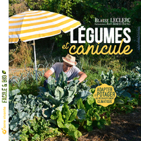 Image de Légumes et canicule