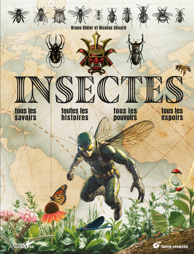 Picture of Insectes