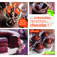 Image de Mes irrésistibles recettes au chocolat