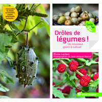 Picture of Drôles de légumes !