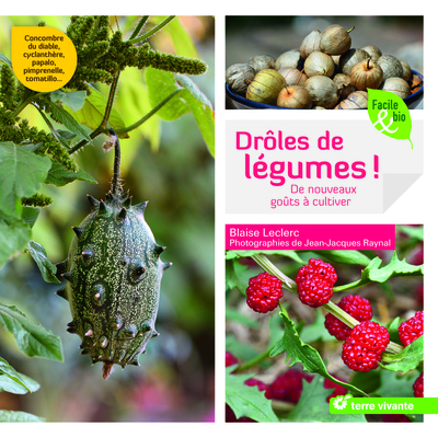 Picture of Drôles de légumes !