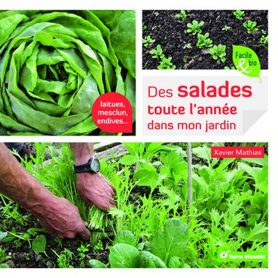 Picture of Des salades toute l'année dans mon jardin