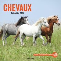 Picture of Calendrier mural chevaux 2024