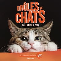 Picture of Calendrier mural drôles de chats 2024