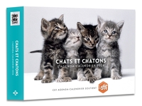 Picture of Agenda - Calendrier Chats et chatons 2026