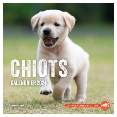 Picture of Calendrier mural chiots 2024