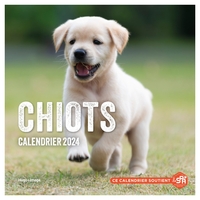 Picture of Calendrier mural chiots 2024