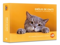Picture of Agenda - Calendrier Drôles de chats 2026