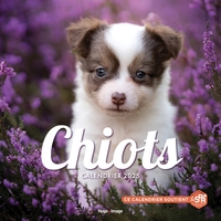 Picture of Calendrier mural chiots 2025
