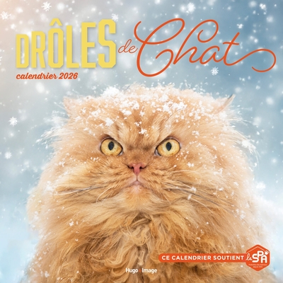 Picture of Calendrier mural Drôles de chats 2026
