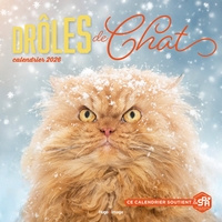 Picture of Calendrier mural Drôles de chats 2026