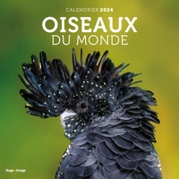 Picture of Calendrier mural oiseaux du monde 2024