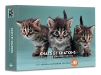 Picture of Agenda - Calendrier Chats et chatons 2025