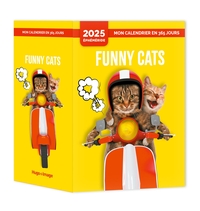 Picture of Mon calendrier 2025 - Funny cats