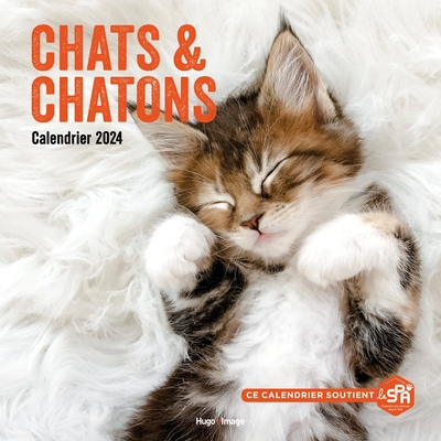 Picture of Calendrier mural chats et chatons 2024