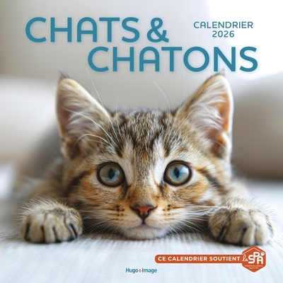Image de Calendrier mural Chats et Chatons 2026