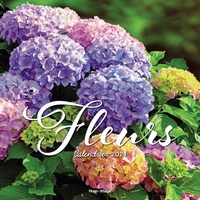 Picture of Calendrier mural fleurs 2024