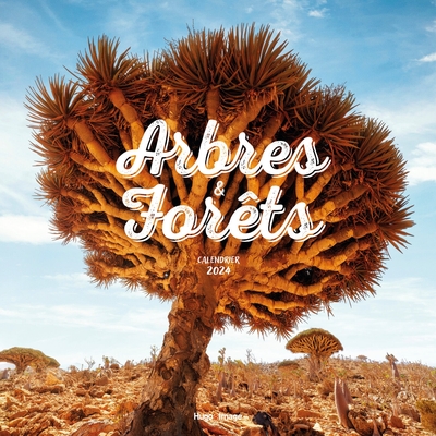 Picture of Calendrier mural arbres et forêts 2024