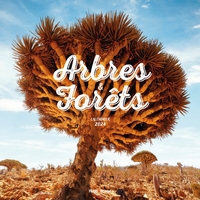 Picture of Calendrier mural arbres et forêts 2024