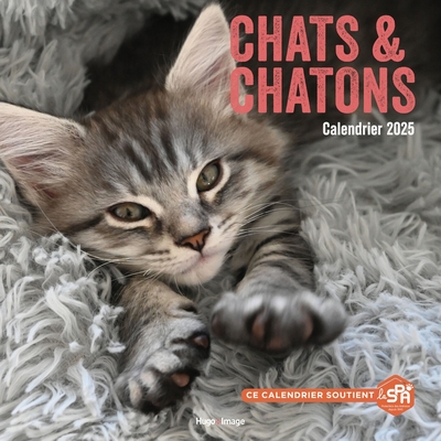 Picture of Calendrier mural chats et chatons 2025