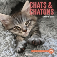 Picture of Calendrier mural chats et chatons 2025