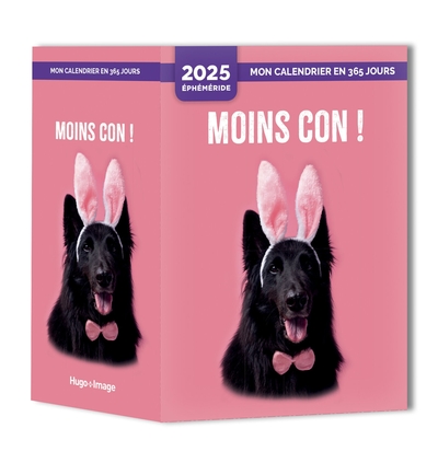 Image de Mon calendrier 2025 - Moins con !